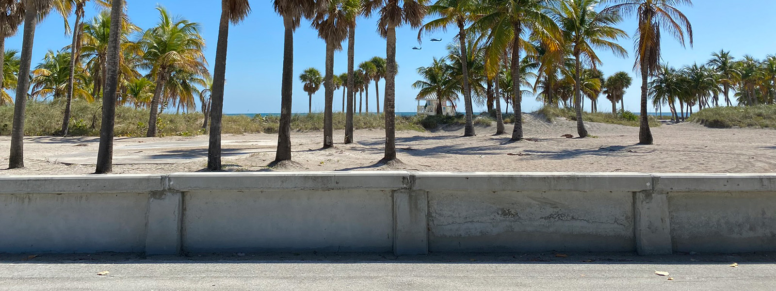 Beach sand wall