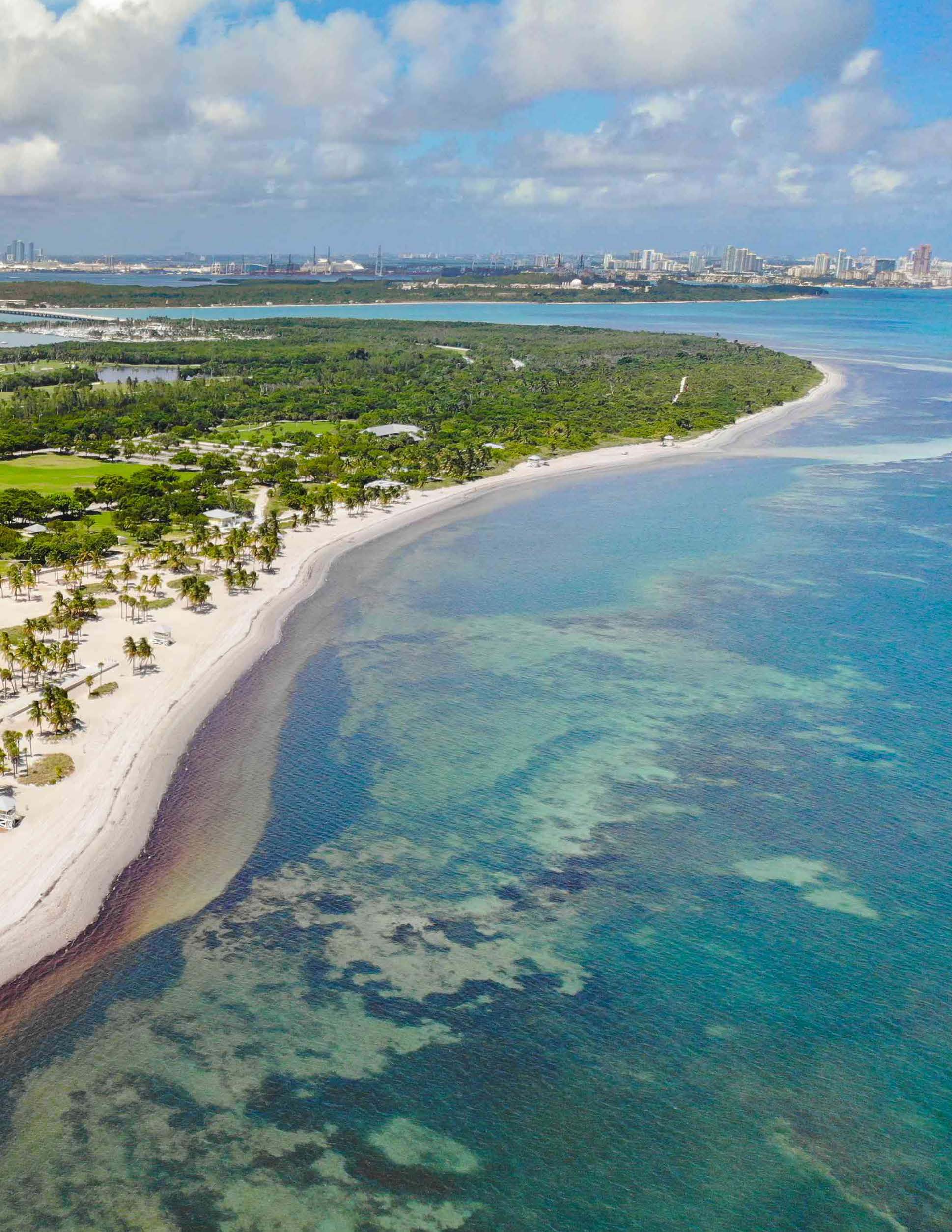 Aerial view of Crandon Park's coastline